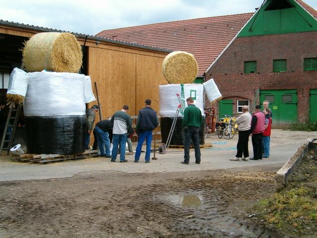 Efting Hook - Einigkeit-02.JPG